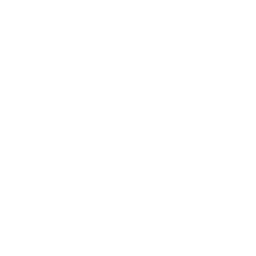 Rust Development